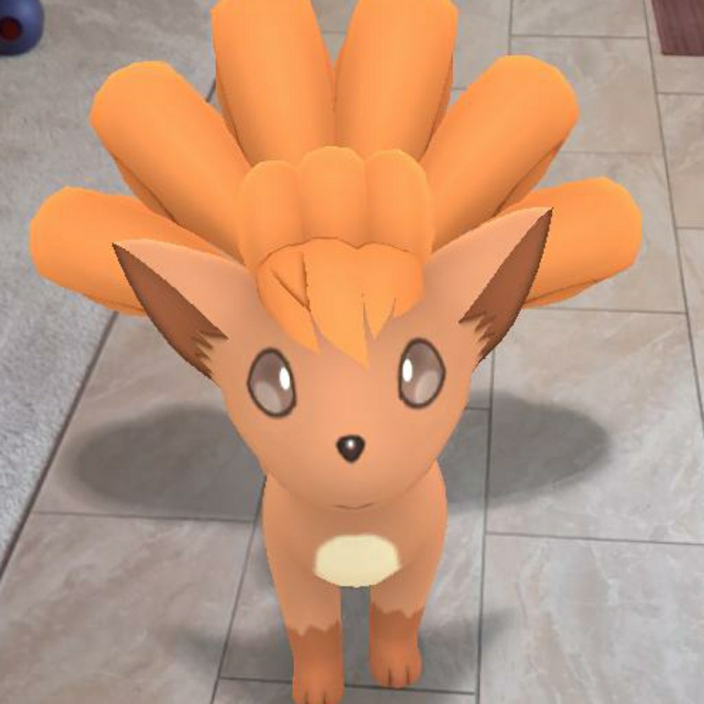 Meet your Posher, Alicia